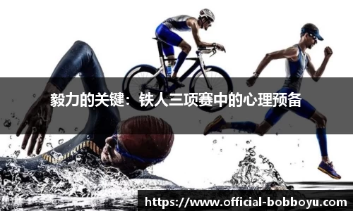 bob博鱼体育公司