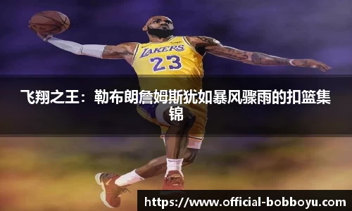 bob博鱼体育